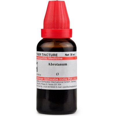 Willmar Schwabe India Abrotanum 1X (Q) (30ml)